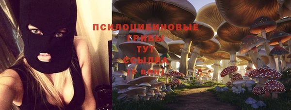 тгк Богородицк