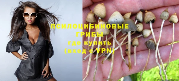 первитин Богородск