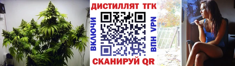 ТГК гашишное масло  МЕГА онион  Северск 