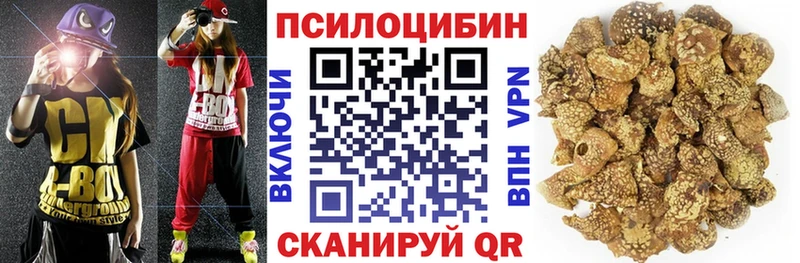гидра зеркало  Северск  Галлюциногенные грибы Magic Shrooms  даркнет сайт 