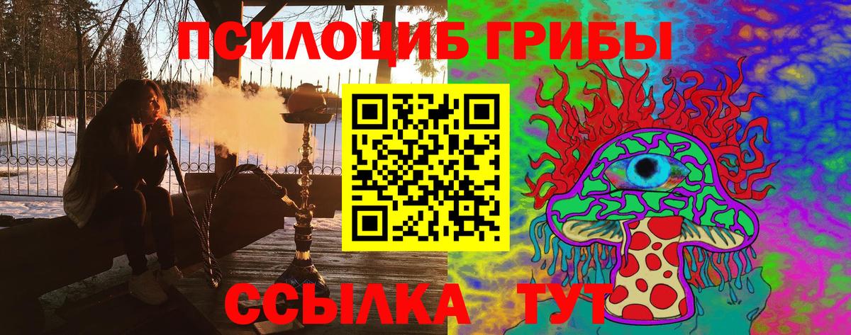 Псилоцибиновые грибы мухоморы  Псилоцибиновые грибы прущие грибы  Вход с VPN  Северск 